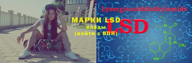 LSD-25 экстази ecstasy  гидра зеркало  Новоалтайск 